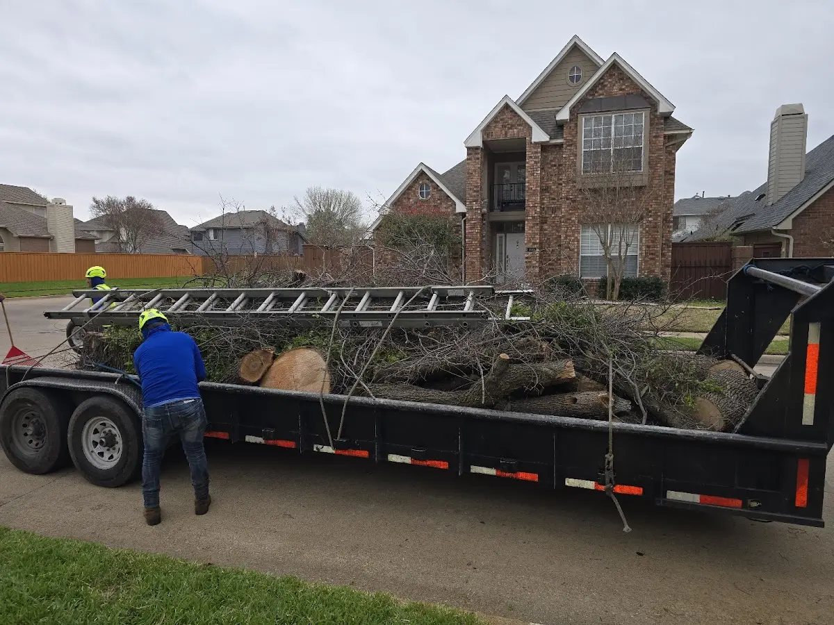 Expert Tree Fertilization with proper safety equipment in Channing